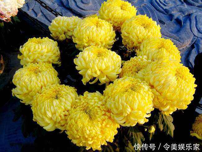 搭配|枸杞和此物是绝妙搭档,每天喝两口,肾气补满了,肝也干净