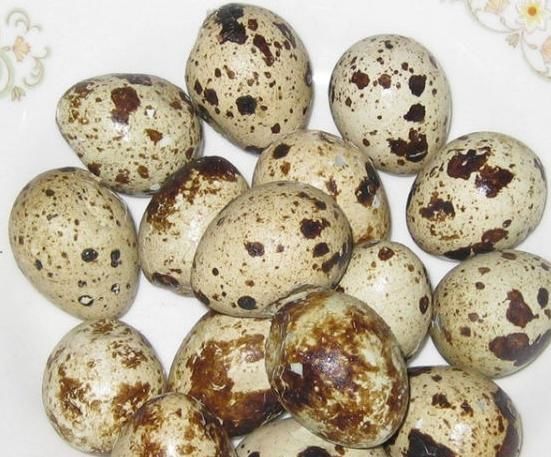 鵪鶉蛋好吃,卻不能亂吃,吃鵪鶉蛋有1大禁忌,還有人啥也不明白