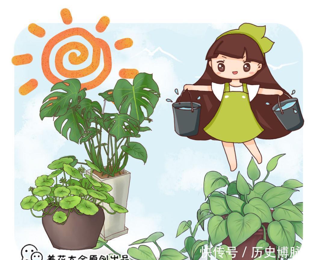 养花必备小工具,让养花变得更简单,便宜又好用!