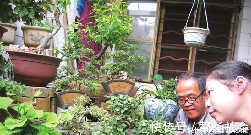 别浇水了,花都是被你浇死的!老园丁教你几招,家里花草轻松爆盆