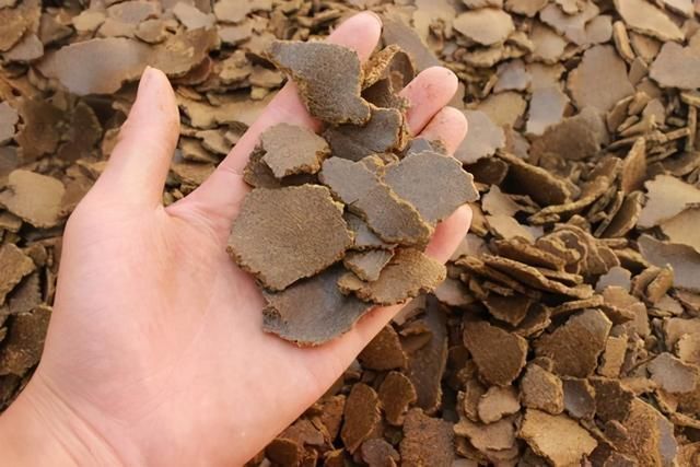 饵料|用这些自制窝料野钓鲤鱼,虽然制作繁琐,但发窝效果着实不错