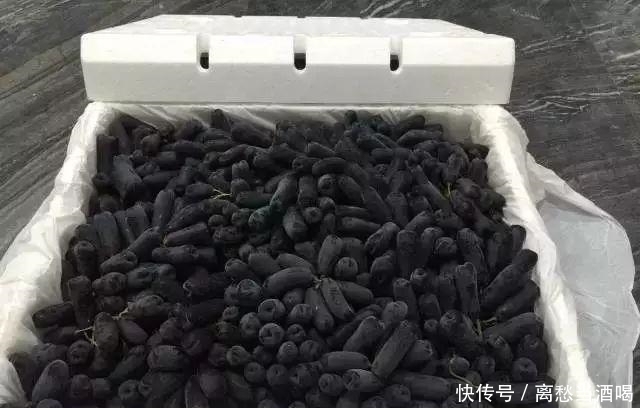 “我国最甜的水果”,沾土就活,院子里种2棵,年年都是大丰收