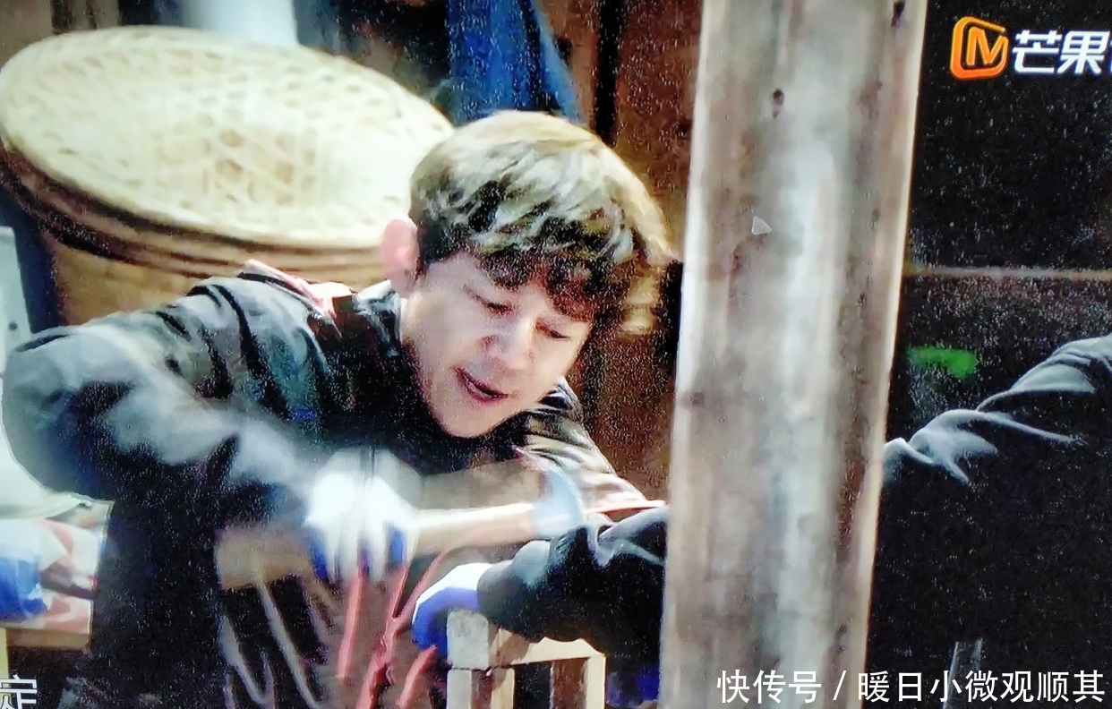 《向往的生活》带你体验劳动致富,不劳无获的真理