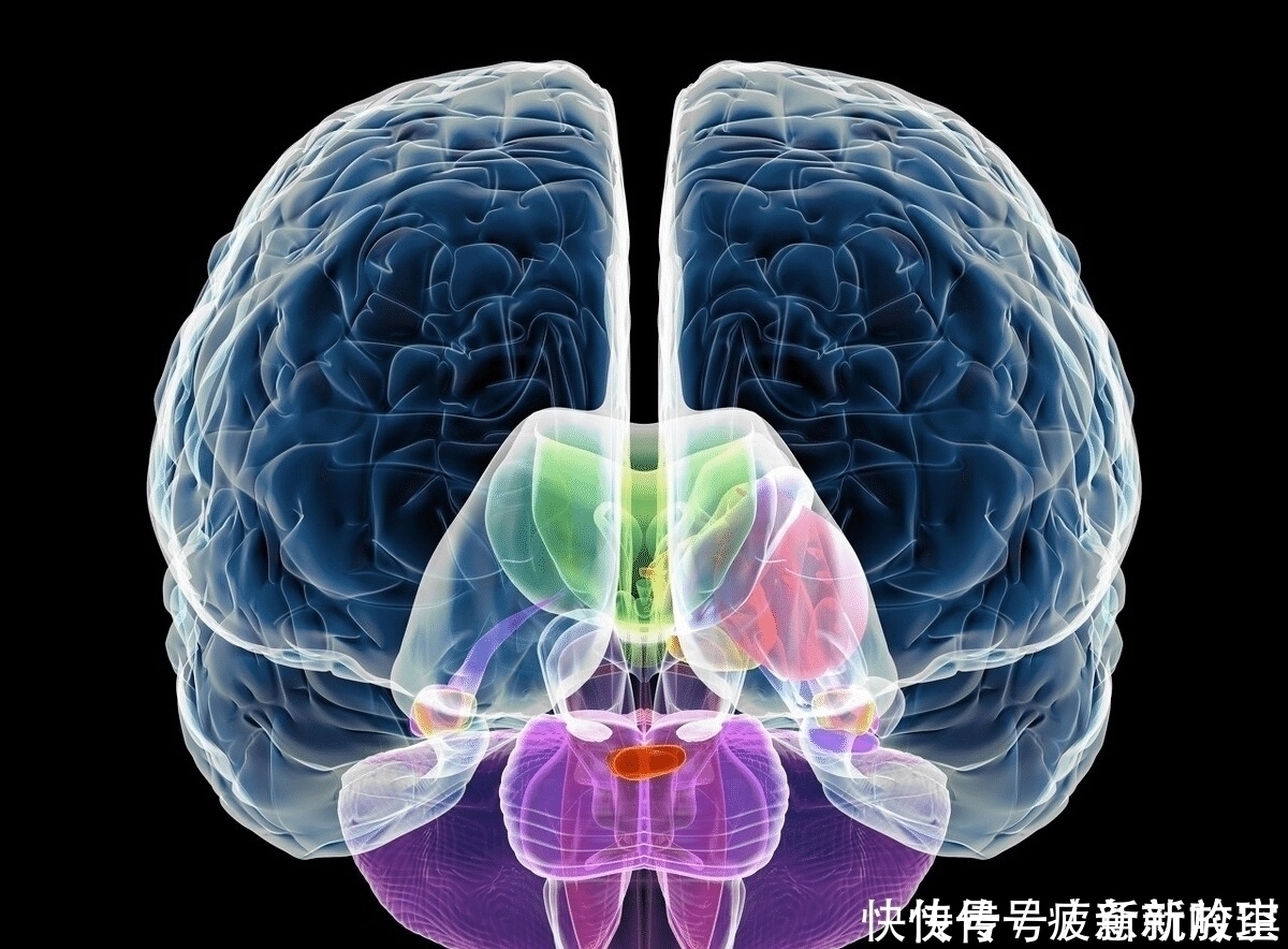 奶粉|母乳或奶粉喂养,会影响孩子大脑发育?是的,但关键不是营养成分