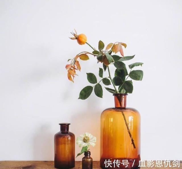 人生|值得收藏一辈子的好句子,经典睿智,句句获益!