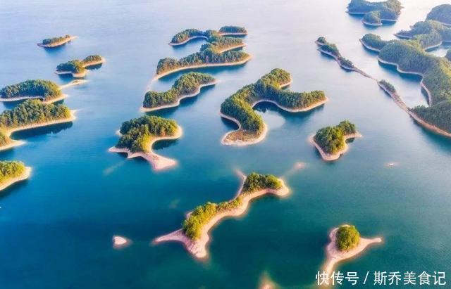 千岛湖抓获50斤的“鳜鱼王”,钓友:不敢吃!看上去像变异一样