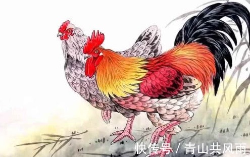 运程|2021年7月5日，12生肖每日运程与贵人到访，生肖鸡，综合运势，中