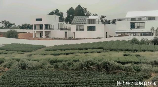 茶山竹海归园田居,当代人最大梦想,这个村子能帮你轻易实现!