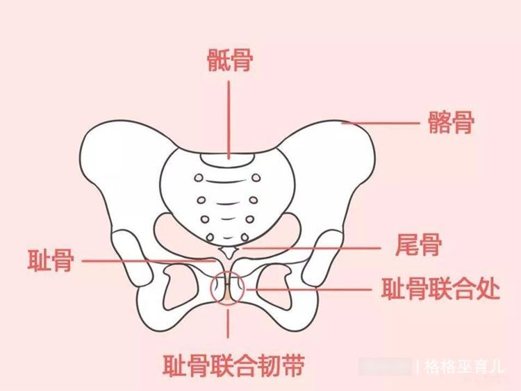 产后|有没有做过产后骨盆修复的宝妈，你们觉得怎么样有效果吗？