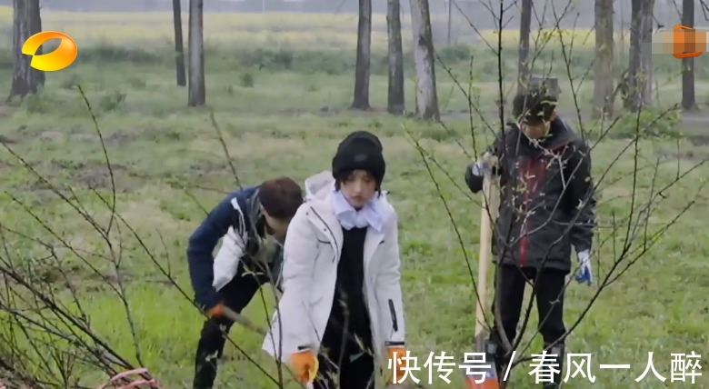干活|《向往5》干活被质疑作秀,看嘉宾种树时的衣服,是否摆拍很显然