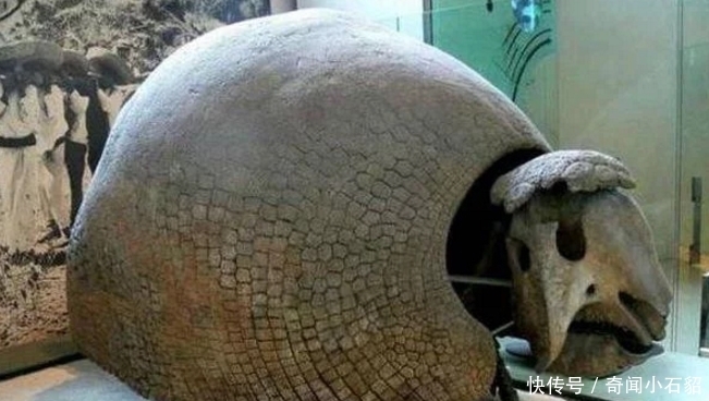 奇怪|小伙野外“钓鱼”,发现一个洞穴很奇怪,走进一看,值多少钱啊?