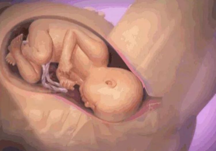婆婆|试管胎儿与普通胎儿，在孕期有啥区别？答案可能让某些人“失望”