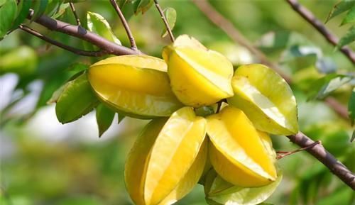 补充营养|想长寿全靠吃,3种食物试着吃,补充营养,身体棒棒哒!