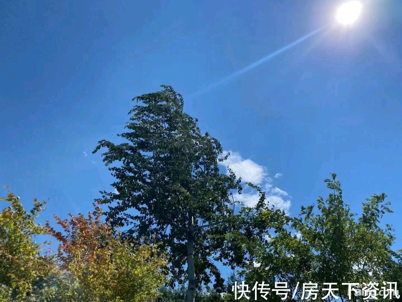 剑桥郡|从英伦名郡·剑桥郡现场发来一条项目新消息，请查看