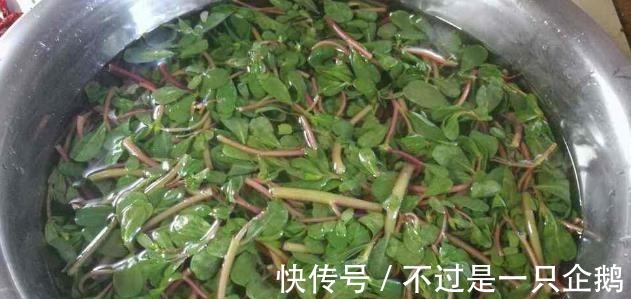 孕妇|有孕期,这4种食物孕妇别吃,不然对孩子发育不利,对自己也无益!