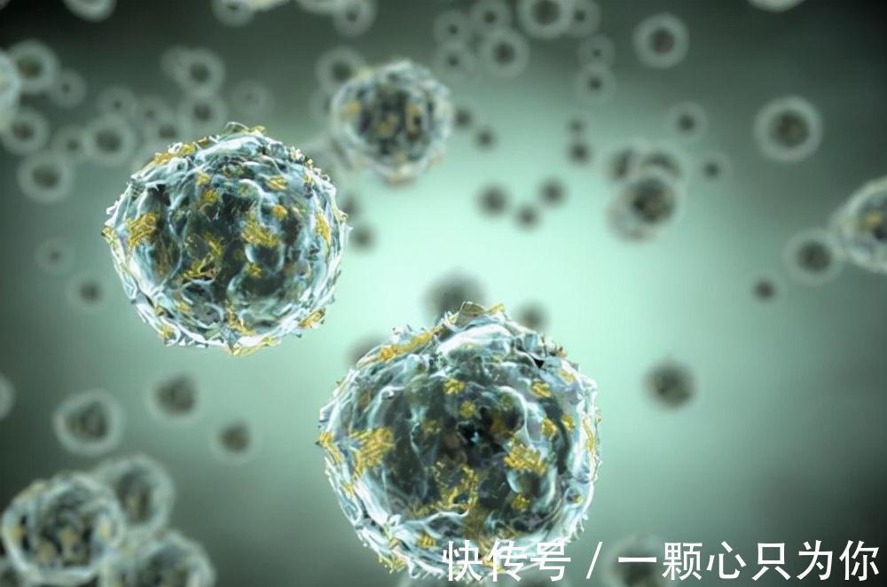 蒲公英泡水|中药新发现？蒲公英能杀死96%癌细胞？真相到底是如何？