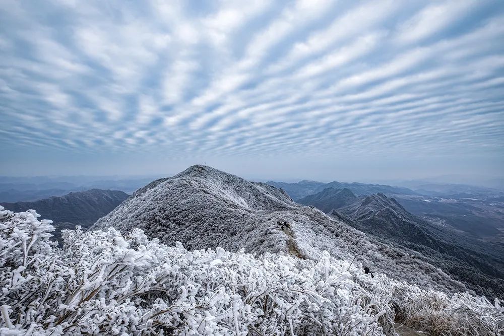 贵州多地迎来新年降雪！雪景太美了！