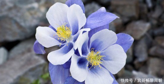 未来30天吉星高照 大地回春 财运如旭日东升 富贵临门的3属相 快资讯