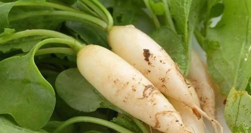 高手|藏在身边的“降压高手”, 每天吃一点，血压平稳身体好