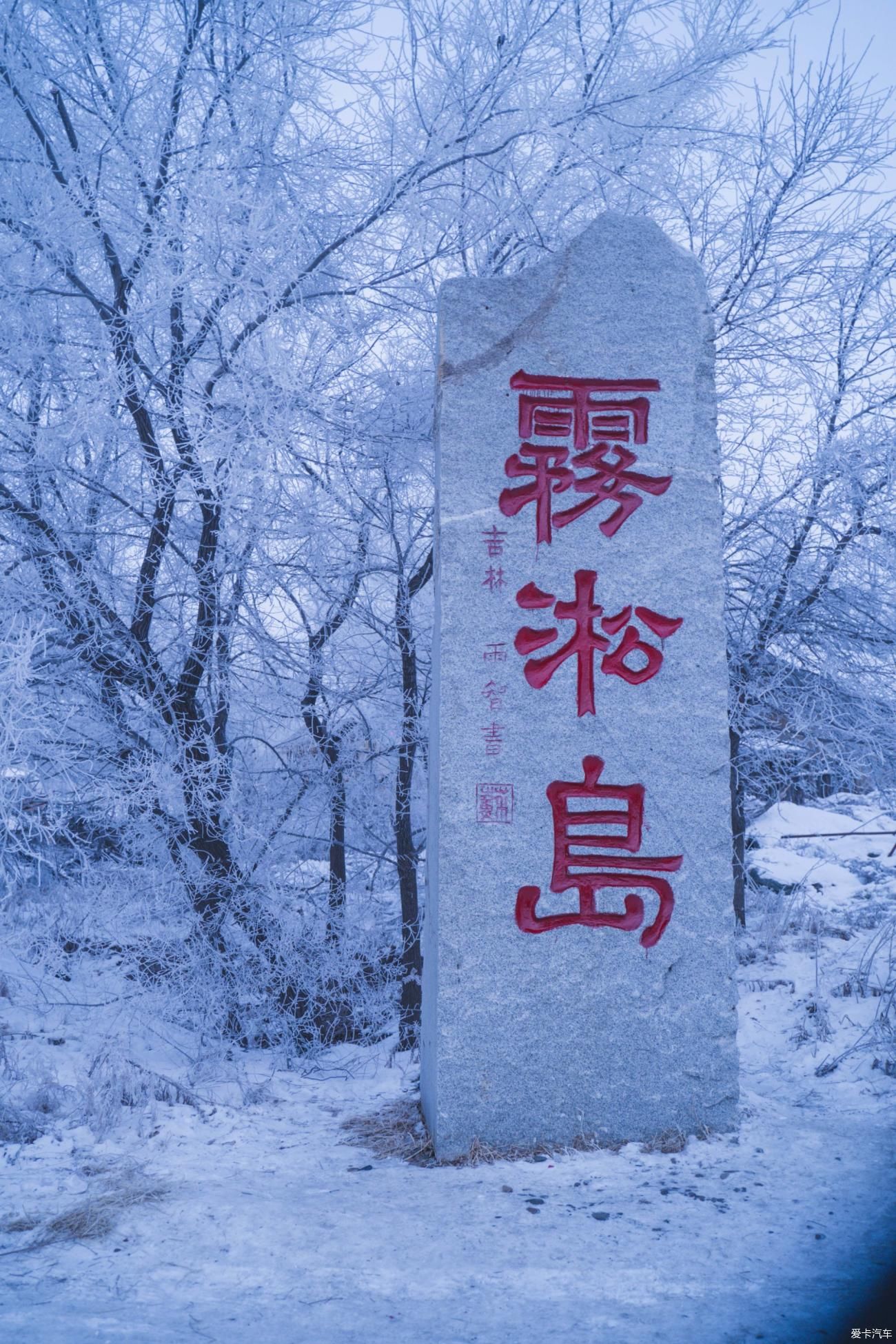 老年|在寂静雪原 遇见雪花真实的形状