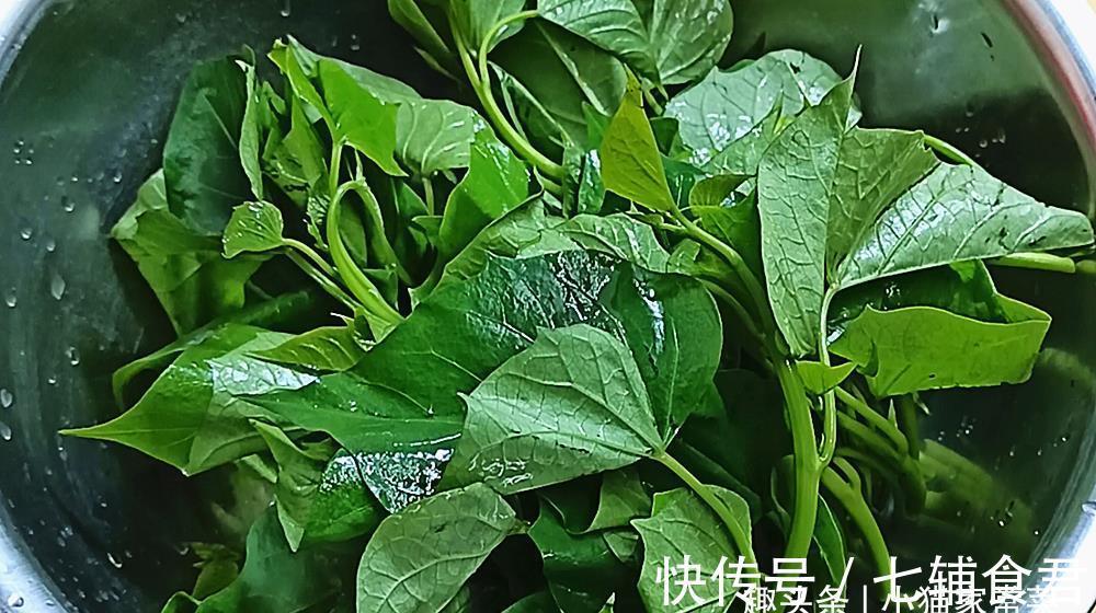 小猫|红薯叶别只会炒,教你一个好吃做法,营养又味美上桌大家抢着吃