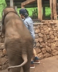 |搞笑GIF:这辈子最后一次过生日了吧,都过出阴影了