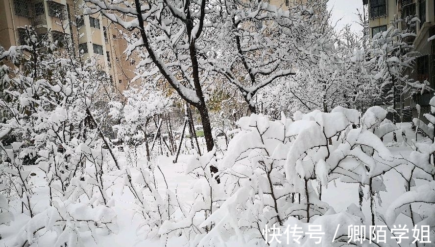 咏雪@「七言绝句●咏雪」卷地铺云细漫沙