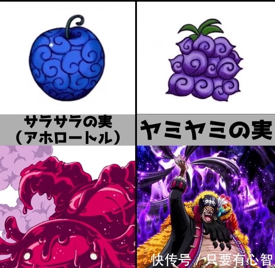 海贼王|《海贼王》恶魔果实，你最想拥有哪种？花花果实最漂亮
