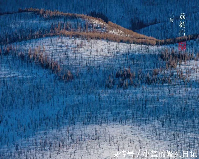 大雪|大雪丨大雪至,寒冬始