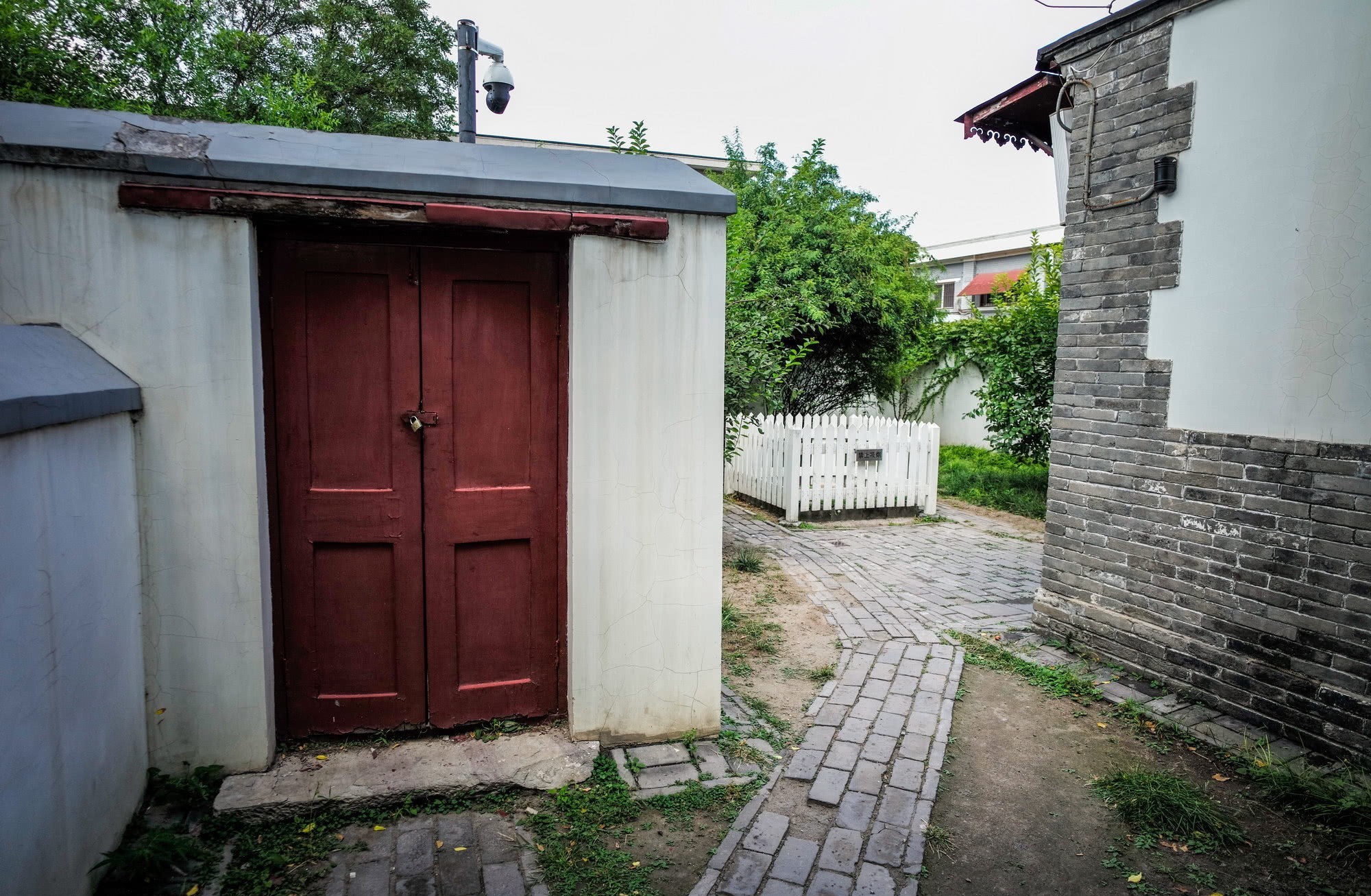 小巷|这小巷中两棵枣树有何神奇,众人争相参观,还引发百年争议