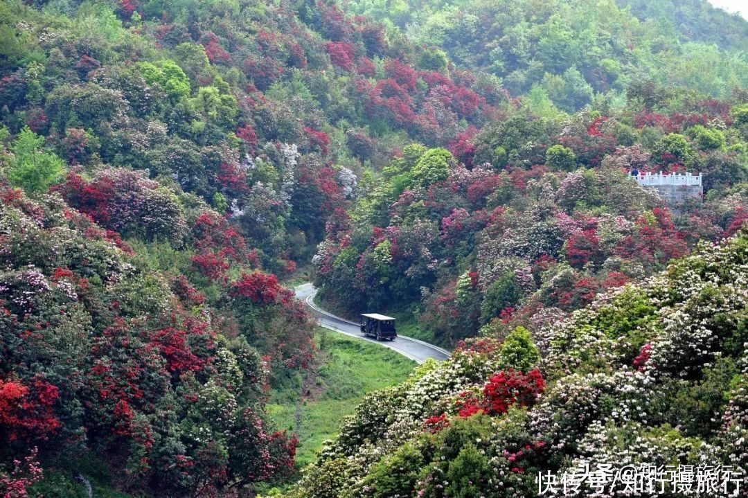 珍藏无数极致美景，最近红遍抖音的小众目的地：贵州