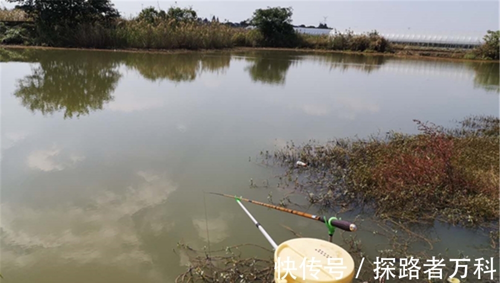 四季钓鲫鱼,有人说春秋两季最好,我却认为是冬季,原因有4点