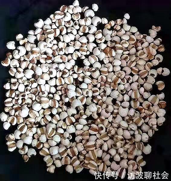 红豆薏米|它是天然“祛湿液”,早晚喝一碗,坚持15天,排出体内湿气一身轻