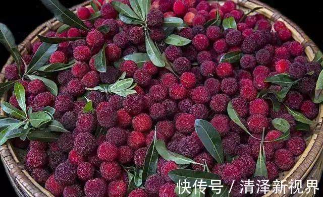 杨梅|夏天正是水果上市季节,这3种水果孩子别吃,果农从不让自家人吃