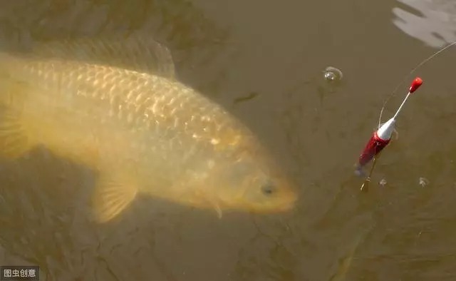 大鱼都藏在这几个窝点,下竿就能上鱼,钓鱼高手都不轻易吐露
