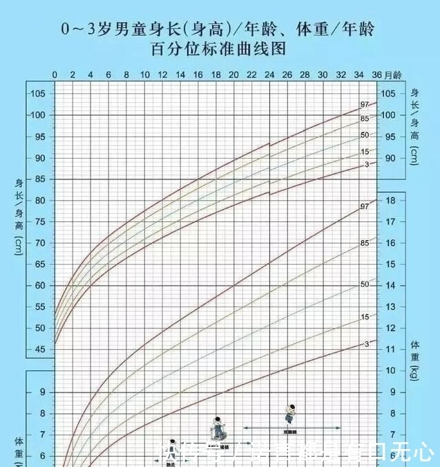 爸妈|你家孩子身高、体重正常吗？对照新版儿童生长曲线图，爸妈别大意