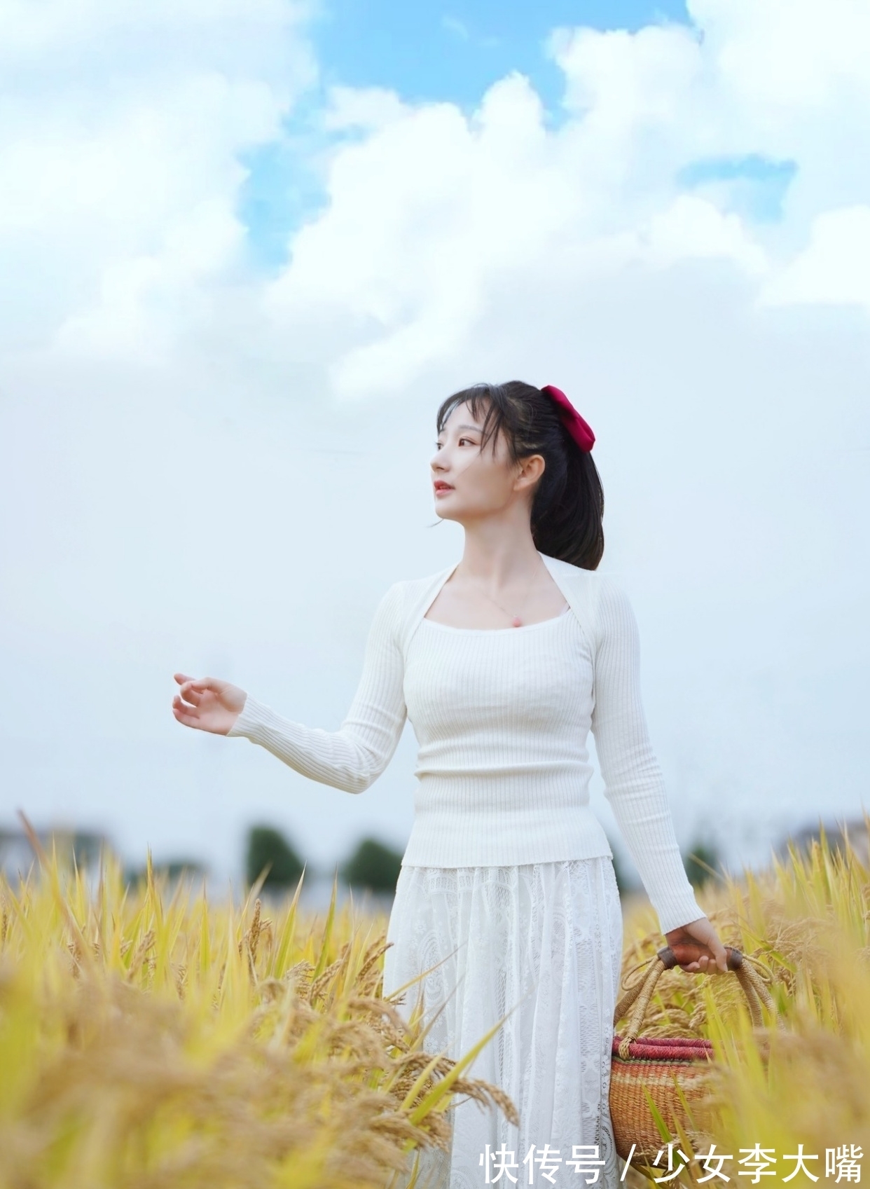 青罗#诗·十一首丨玄霜已覆青罗被,黄菊才妆金缕衣