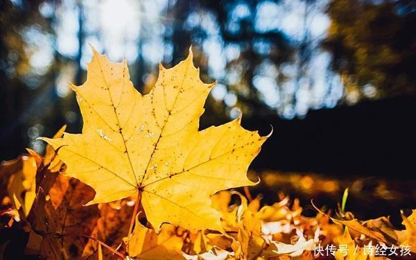 天下风物——《都说古人悲秋，你错了！这5首描写秋天的诗词，一点儿都不感伤（二）》风光题照
