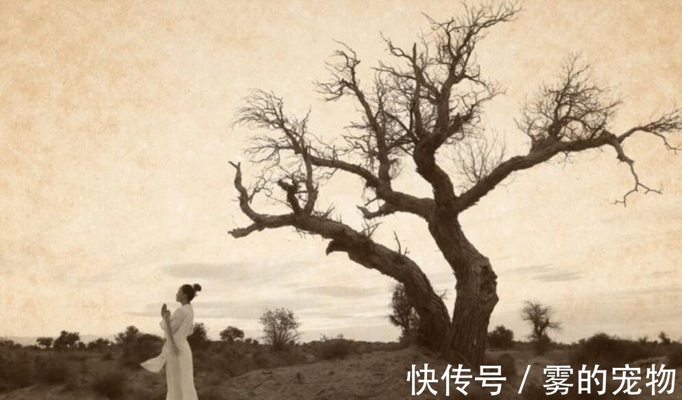 梦到&白居易和元稹:这大概就是友情最好的模样吧