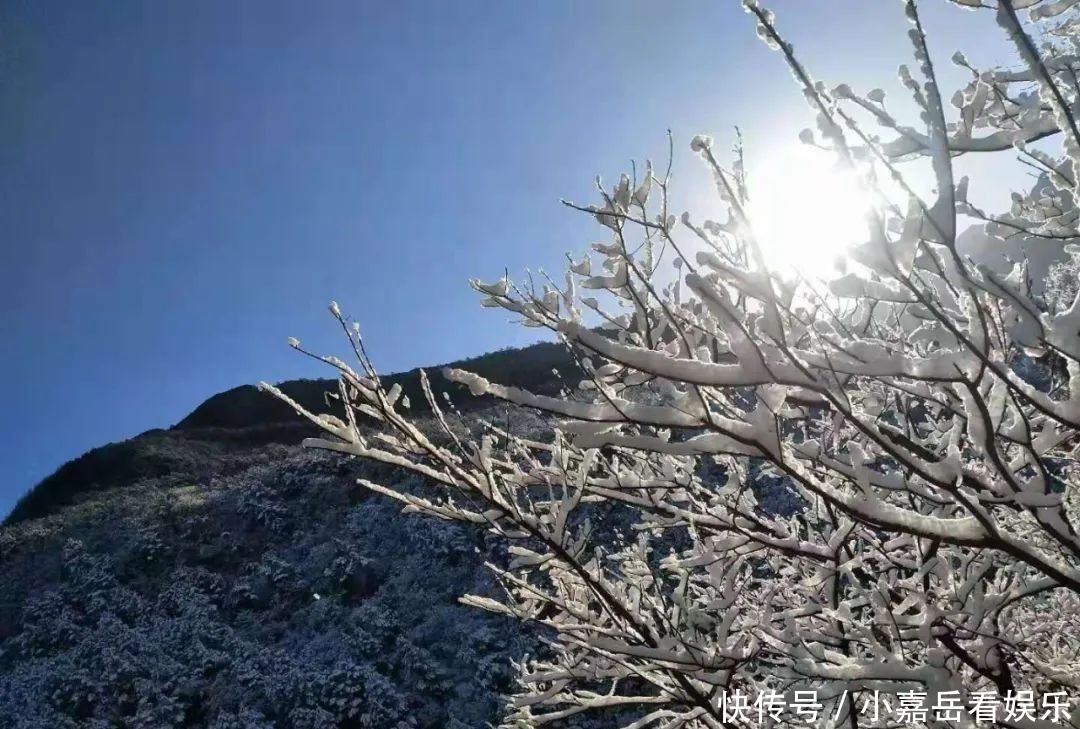 素颜的武陵山大裂谷，竟然这么好看！