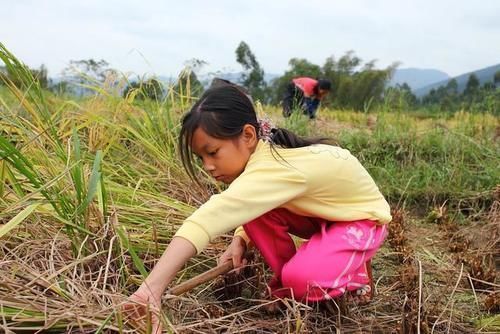 高楼大厦|9岁男孩喜欢玩泥巴，爸爸网上晒出儿子的杰作，网友：鬼斧神工！