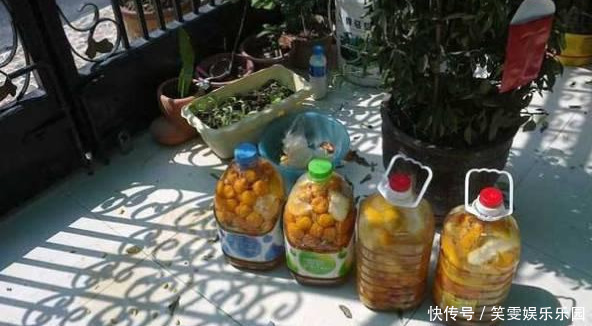 养花技巧:醋、橘子皮、小苏打用来养花,好处多!
