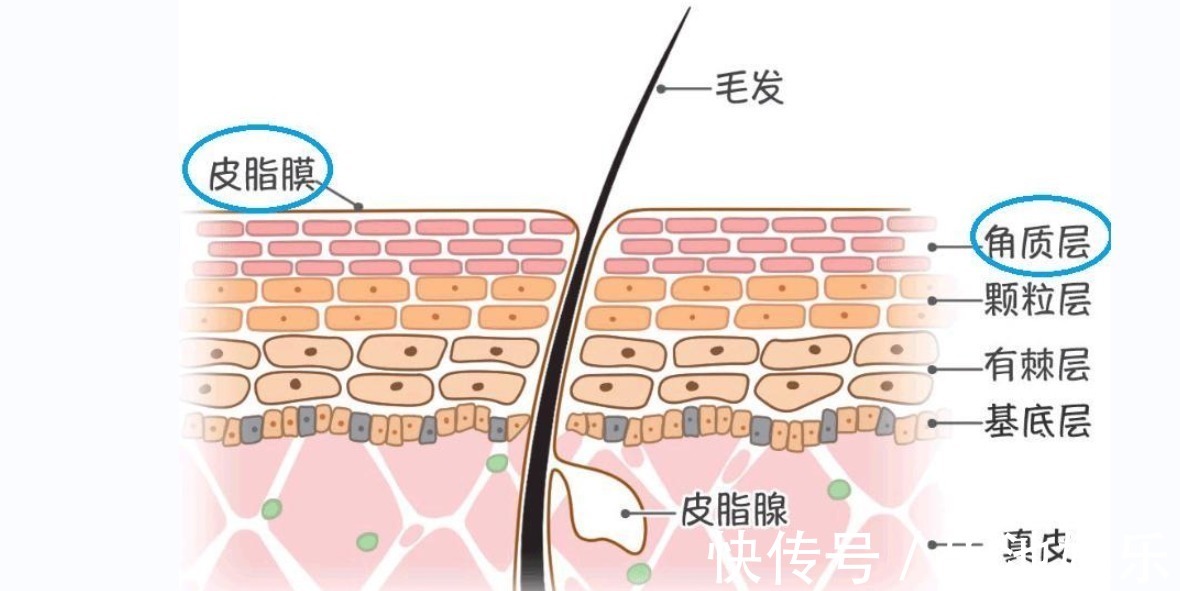 防晒霜 女人涂防晒霜要牢记3个“不要”，不然涂了也白涂！很多人忽视了