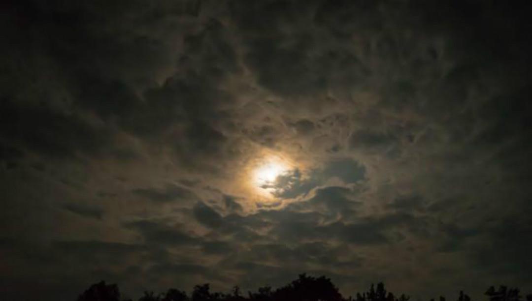 小修$明朝才子袁中道一首抒情诗,只有短短的20个字,却美得令人心醉!