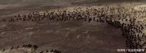 战役|一场战役,明军将领几乎全军覆没,一向吝啬的万历皇帝下了血本