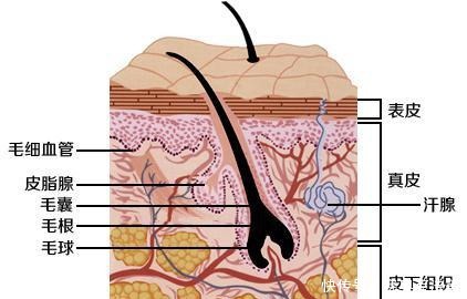 春季如何低成本养出好皮肤 墨迹天气提示：除了看脸，也要看天