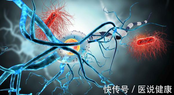 上皮细胞|免疫力好,少生病!这4个提高免疫力“方法”,别错过!