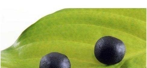 痊愈|华佗妙手回春却难医母病,堂兄无意之举让其母痊愈,此方沿用至今!