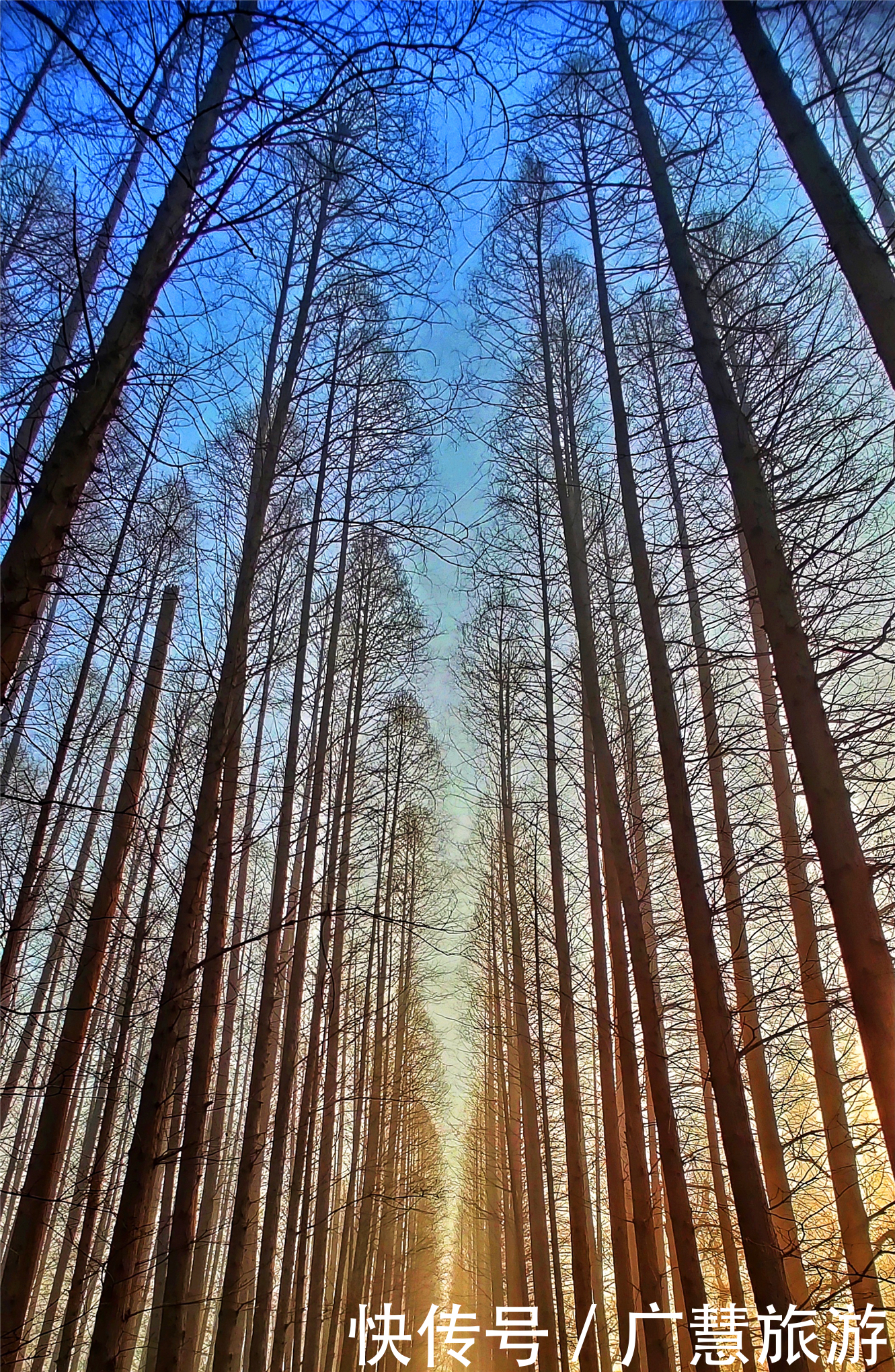 山东日照周末两日游，超详细必看攻略，关于旅途中的大小事盘点