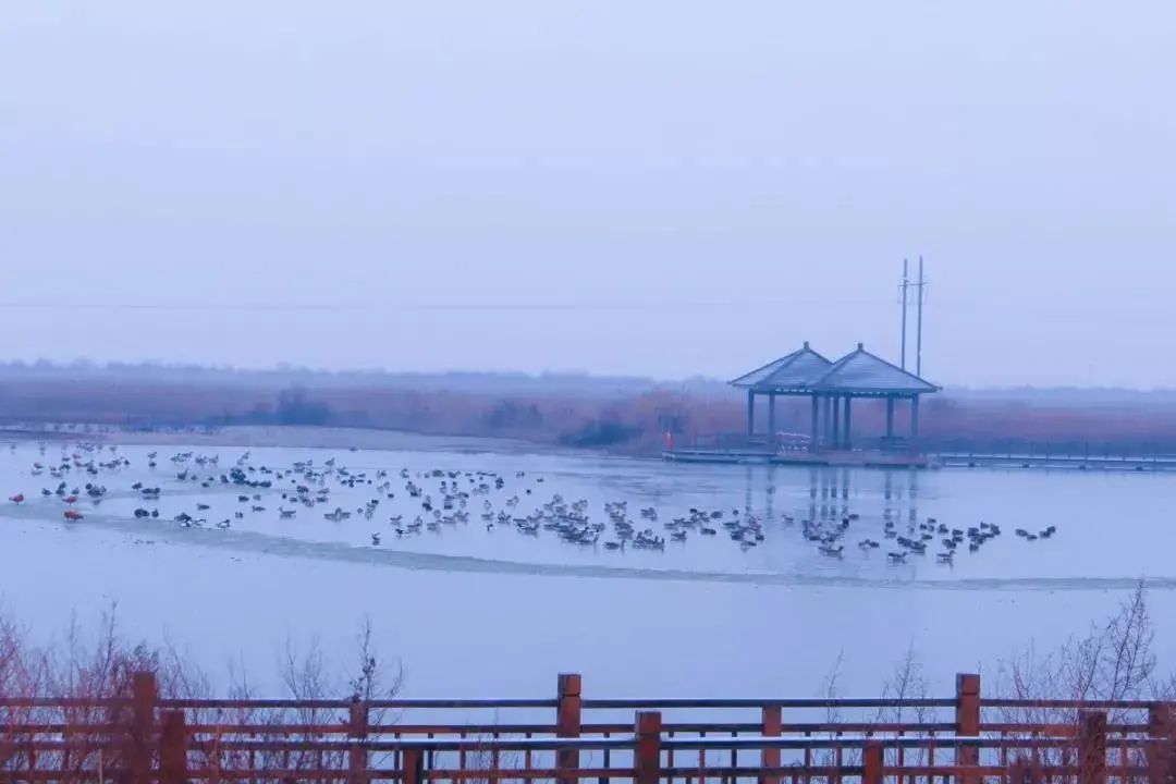 期待|期待一场大雪 邂逅最美山“冬”